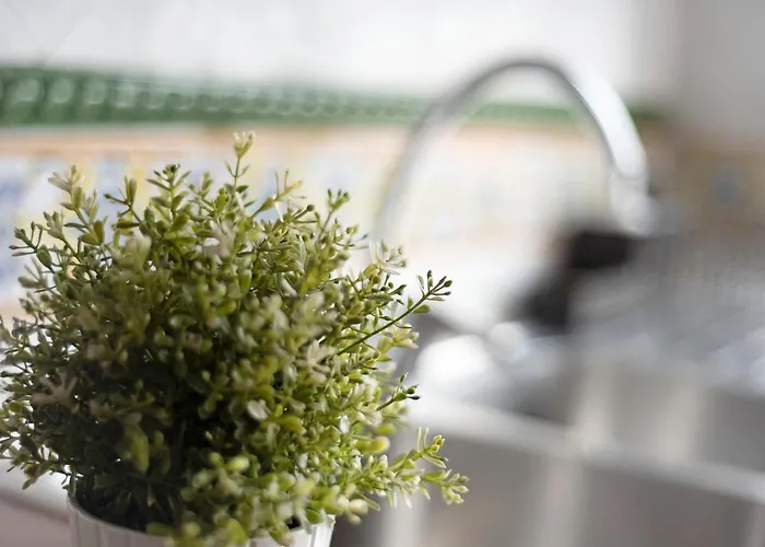 Casa Gauguin 別荘 *